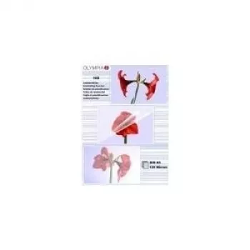 Laminovacie fólie Olympia 1x100 DIN A5 125 mikrónov