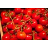 Bajaja cherry paradajka Toraf semená zeleniny, 0,3 g balenie