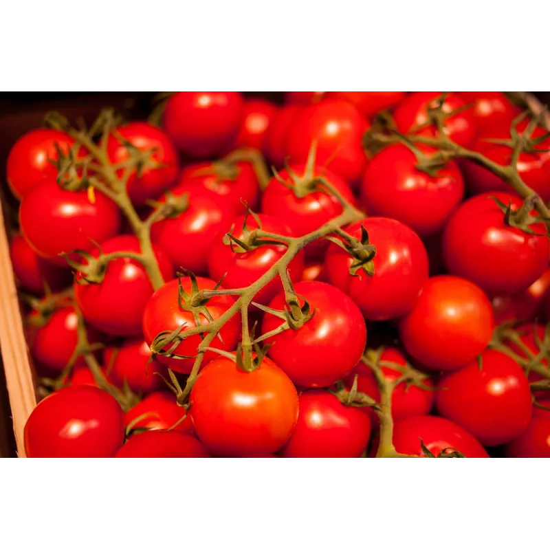 Bajaja cherry paradajka Toraf semená zeleniny, 0,3 g balenie