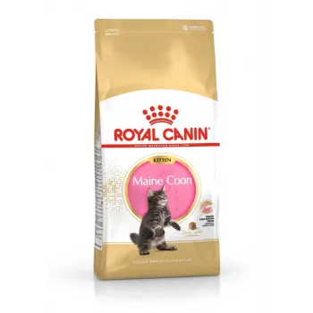 ROYAL CANIN Maine Coon Kitten - suché krmivo pre mačky - 4 kg