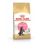 ROYAL CANIN Maine Coon Kitten - suché krmivo pre mačky - 4 kg