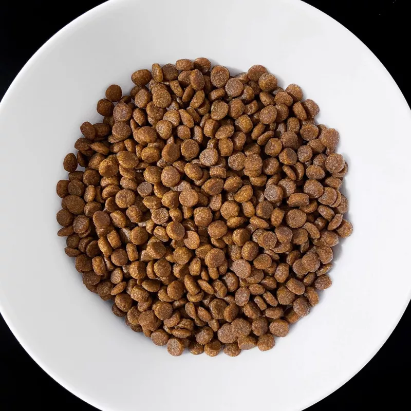 VET RESPONSE Gastrointestinal - suché krmivo pre mačky - 400 g