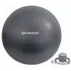 Schildkröt Fitness 960158 gymnastická lopta 85 cm sivá