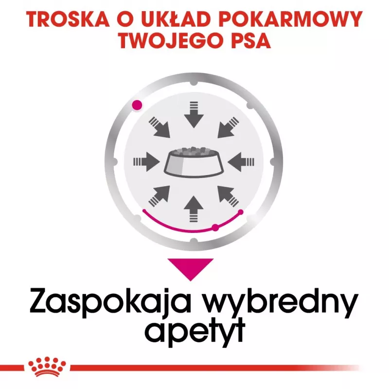 Mokré krmivo pre psy Royal Canin Exigent Meat Universal 12×85 g — hydina, dospelé, pre vyberavých psov