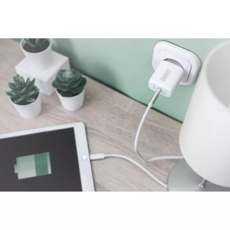Digitus - napájací zdroj - 20 watt - 3 A - PD 3.0 (USB-C) - biely (DA-10196)