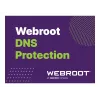 Webroot | DNS Protection with GSM Console | 2 roky | Licenčné množstvo 10-99 používateľov