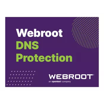 Webroot | DNS Protection with GSM Console | 2 roky | Licenčné množstvo 10-99 používateľov