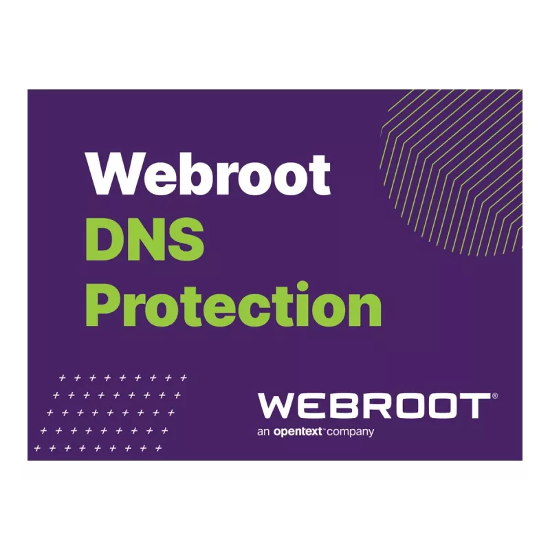 Webroot | DNS Protection with GSM Console | 2 roky | Licenčné množstvo 10-99 používateľov