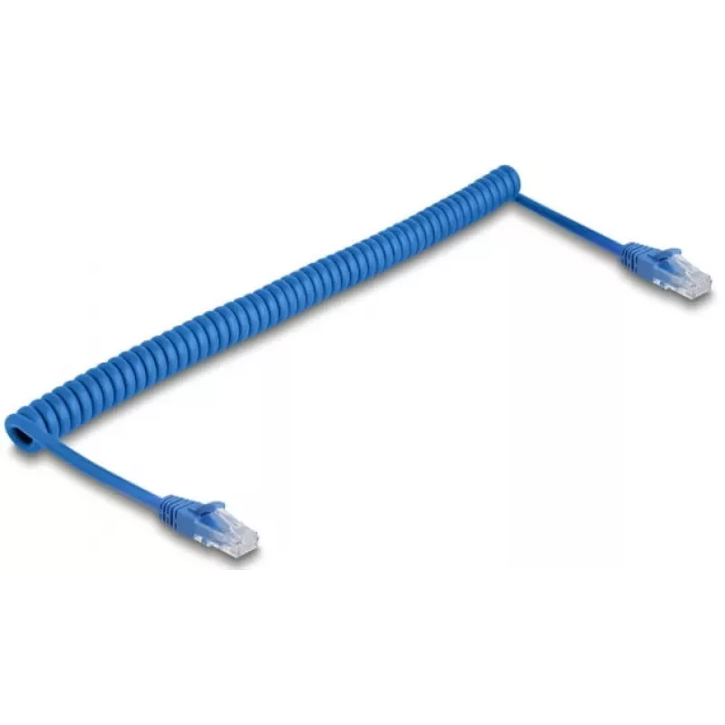 Sieťový kábel DeLOCK 90197 modrý 1,2 m Cat6 U/UTP