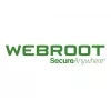 Webroot | DNS Protection with GSM Console | 2 roky | Licenčné množstvo 10-99 používateľov