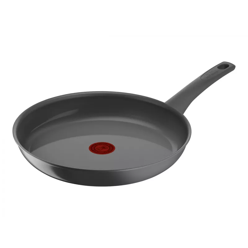 Panvica Tefal C4260643, priemer 28 cm, vhodná na indukciu, pevná rukoväť, sivá