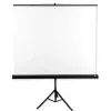 Avtek Tripod Standart 175 projekčné plátno 1:1