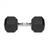 Pogumovaná liatinová jednoručka HEX 20 kg REBEL ACTIVE