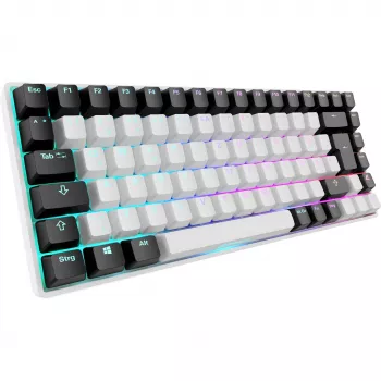 Sharkoon SKILLER SGK50 S3 - klávesnica - 75% - podsvietenie - USB - QWERTZ - nemecká - spínače klávesov: Gateron Red (Hot-swappable)