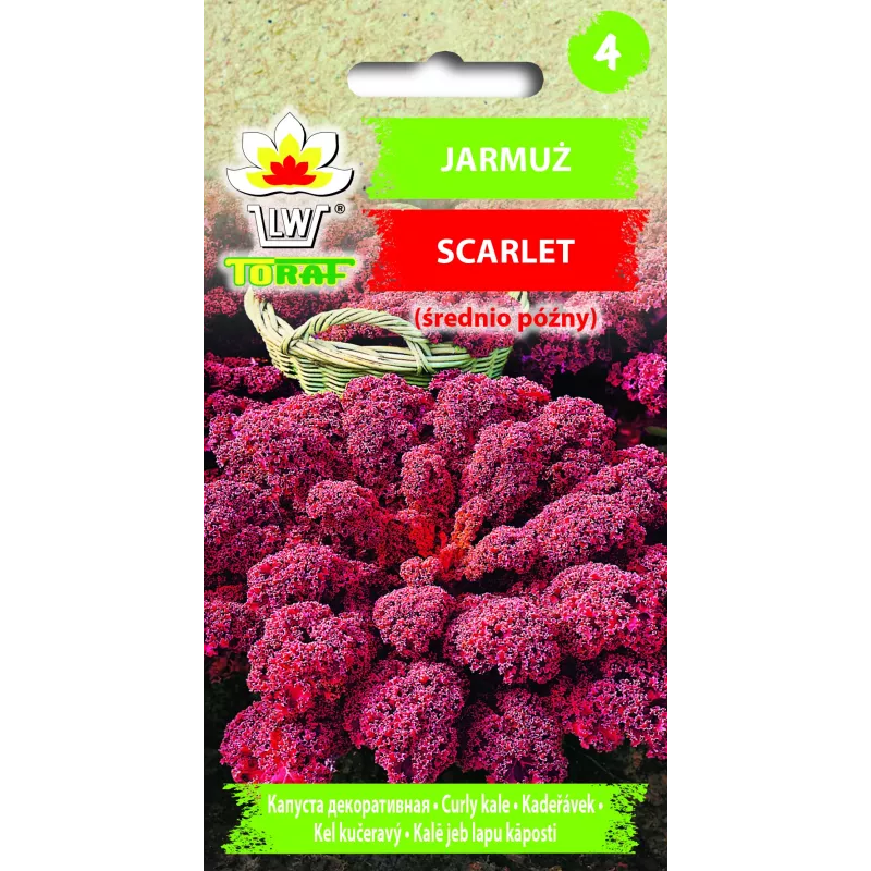 Scarlet Toraf semená kel kučeravý, 1g balenie