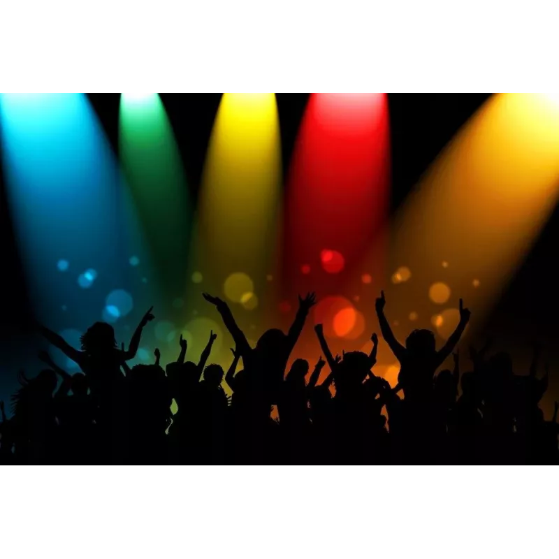 Prenosný reproduktor APA24 Bluetooth Karaoke, čierny