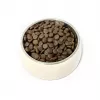 PUPIL Premium hmyz - suché krmivo pre psov - 12 kg