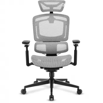 Kancelárska stolička Sharkoon OfficePal C50M — čalúnené sedadlo, sieťové operadlo, čierna, operadlo 49 × 63 cm, šírka sedadla 50 cm