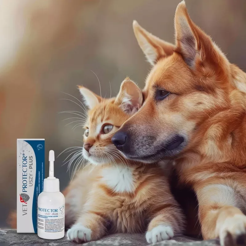 Ušný roztok JM Sante Vet Protector Uszy Plus 50 ml — starostlivosť o uši pre dospelé psy a mačky, plastová fľaša