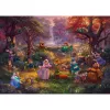 Thomas Kinkade Studios: Disney - Robin Hood, puzzle 1000 dielikov