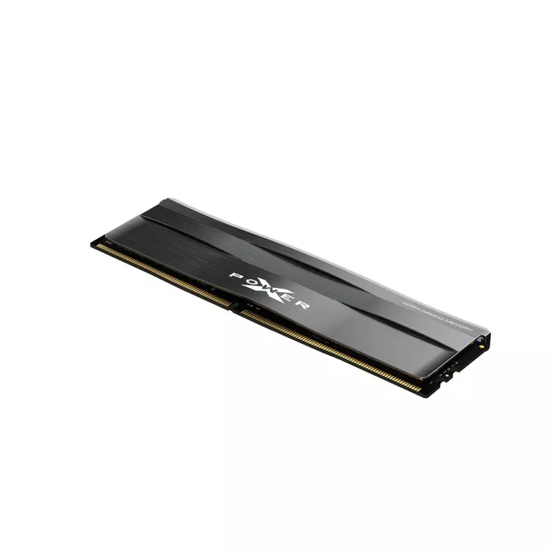 Silicon Power SP008GXLZU320BSC pamäťový modul