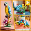 LEGO stavebnica Exotický papagáj 31136 — Creator display model, 253 dielov, 220×120×110 mm