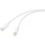 Renkforce USB kábel USB 2.0 USB-C® konektor samec, Apple Lightning konektor samec 2,00 m biely (matný) RF-5724080 (RF-5724080)