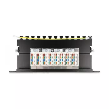 DeLOCK Patch panel 10 palcov 8 port Cat.6A 0,5U čierny