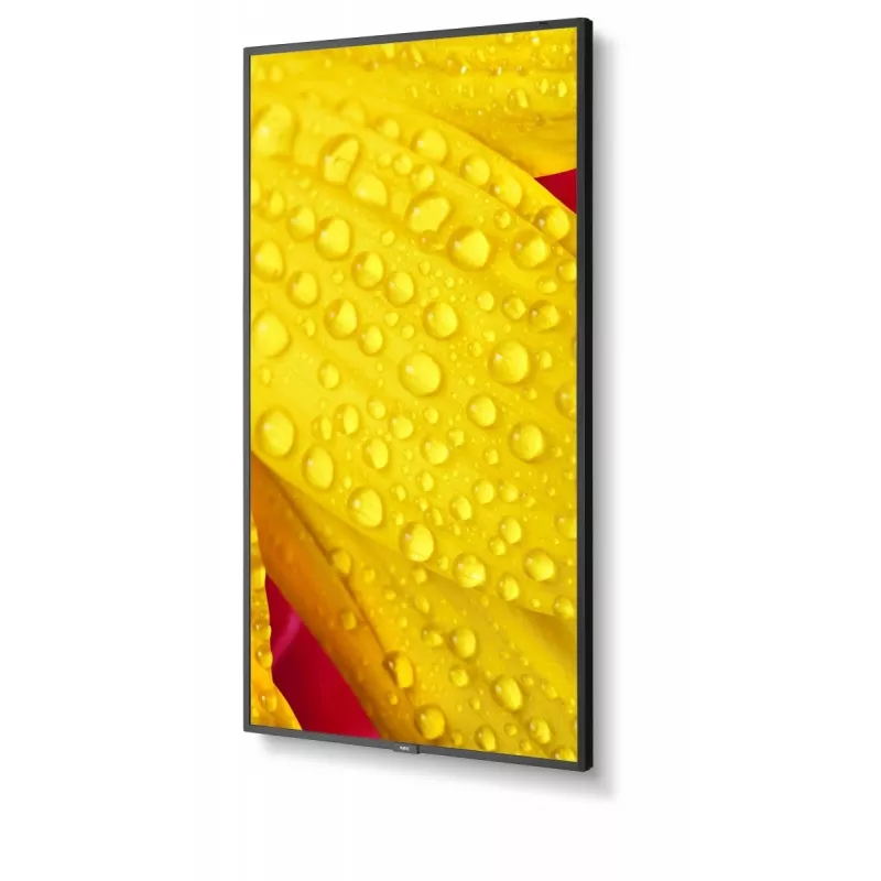 NEC MultiSync M651-2 kioskový dizajn 165,1 cm (65 palcov) LED 500 cd/m² 4K Ultra HD čierny vstavaný procesor