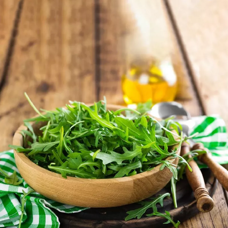 PNOS rukola Eruca sativa semená na páse, 6 m