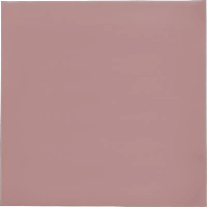 Thermal Grizzly Minus Pad 8 - 100 x 100 x 1,0 mm, 2 ks