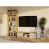MALWA 120 TV skrinka, Artisan dub/kašmírová
