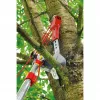 Nožnice na konáre WOLF-Garten RC-VM ANVIL PROFI