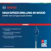 Bosch Expert 2 608 900 341 vrták plochý vrták 6 kusov