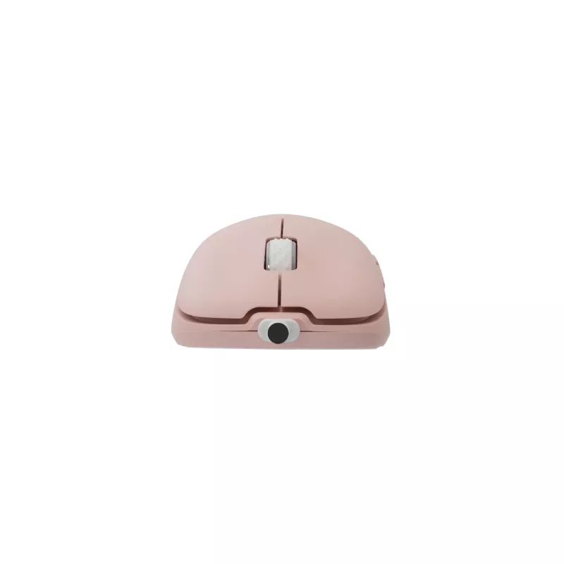 Myš White Shark GM-5014 Graphene Pink USB