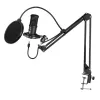 Štúdiový mikrofón Easypix 62021 čierny