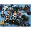 1000-dielikové puzzle Ravensburger Harry Potters magische Welt – 1000 dielikov, štandardný formát puzzle