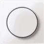 Merten MEG5250-0419. Farba produktu: biela (MEG5250-0419)