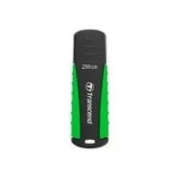 USB flash disk Transcend 256 GB USB Type-A 3.2 Gen 1 JetFlash 810