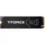 Team Group T-FORCE G70 Pro 2 TB PCIe 4.0 x4 | M.2 2280 | grafitový chladič
