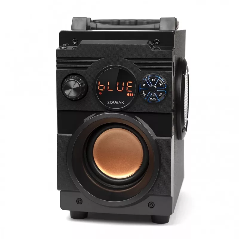 Squeak Bassblaster Bluetooth 5.1 reproduktor, FM rádio, MP3 prehrávač SQ1001