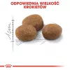 ROYAL CANIN Sterilised 7+ - suché krmivo pre mačky - 10 kg