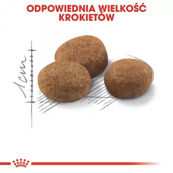 ROYAL CANIN Sterilised 7+ - suché krmivo pre mačky - 10 kg