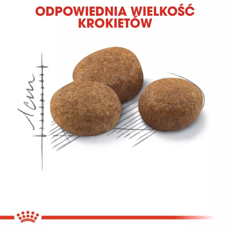 ROYAL CANIN Sterilised 7+ - suché krmivo pre mačky - 10 kg