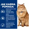 HILL'S PD K/D Kidney + Mobility kuracie - suché krmivo pre mačky - 3 kg