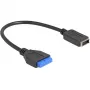 DeLOCK USB kábel kolíkový konektor samica na interný USB Type-E Key A 25 cm