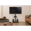 Gembird TVS-75S-02 TV podlahový stojan s kolieskami, 37 - 75, čierny