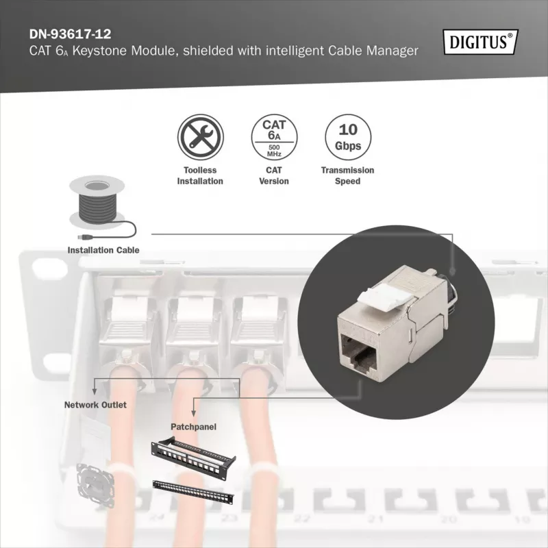 Digitus Tienený modul Keystone Cat.6A s inteligentným organizérom káblov, 12 ks, strieborný