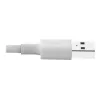 Eaton Tripp Lite Series USB-A na Lightning synchronizačný/nabíjací kábel (M/M) - MFi certifikovaný, biely, 3 ft. (0,9 m) - dátový/napájací kábel - USB samec na Lightnin