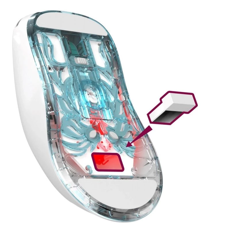 BEZDRÔTOVÁ myš DEFENDER FAME GM-516 RF+BT 10000DPI 6P biela